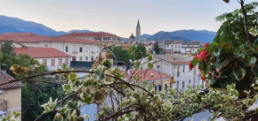 Gufo Azzurro Sulmona
